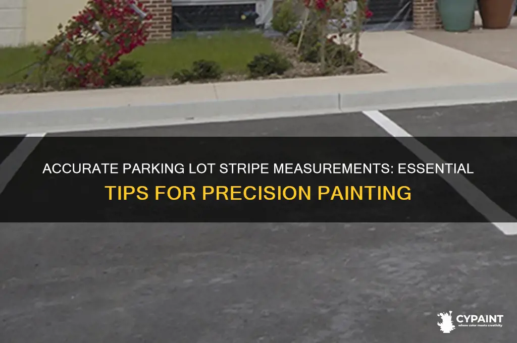 when painting parking lot stips measurements should be