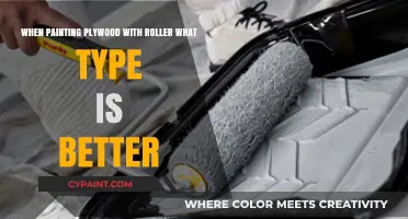 Roller Types for Painting Plywood: Which is Best?