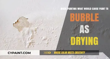 Unveiling the Culprits: What Causes Paint to Bubble as It Dries?