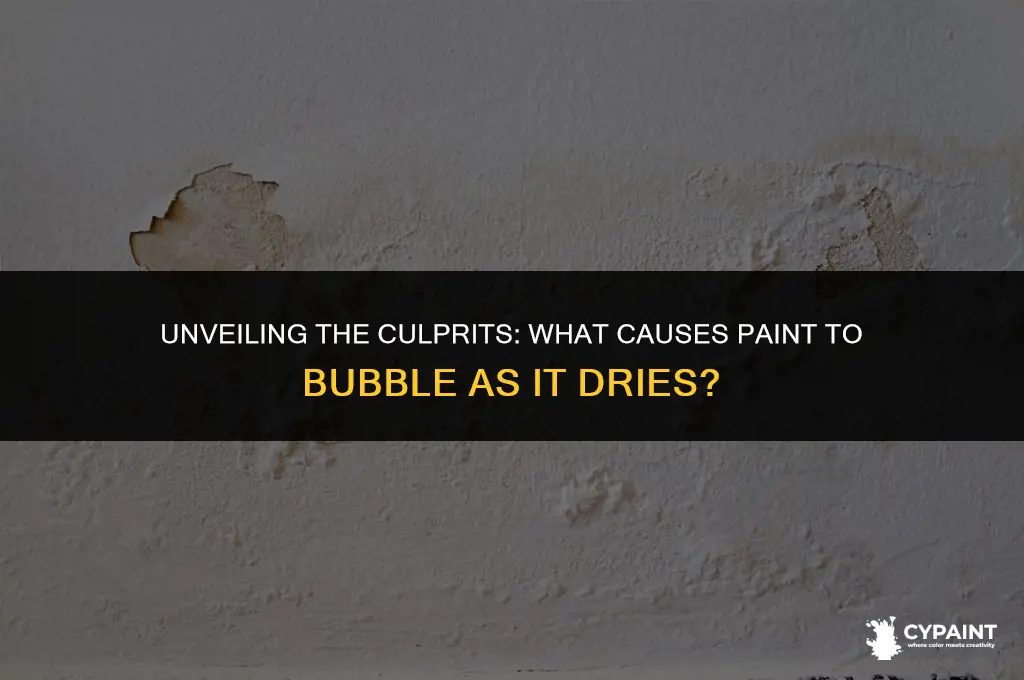 when painting what would cause paint to bubble as drying