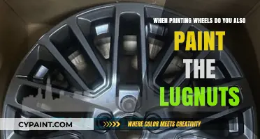 Lugnuts: To Paint or Not to Paint?