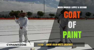 The Perfect Time for a Second Coat of Paint