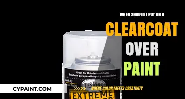 Clearcoat Timing: Painting Perfection or a Mess?