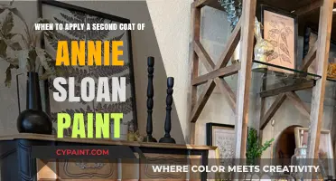 Revamping Your Furniture: The Perfect Timing for a Second Coat of Annie Sloan Paint