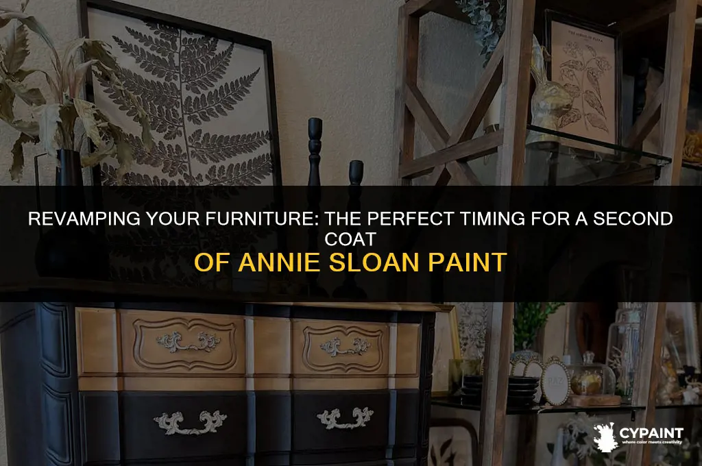 when to apply a second coat of annie sloan paint
