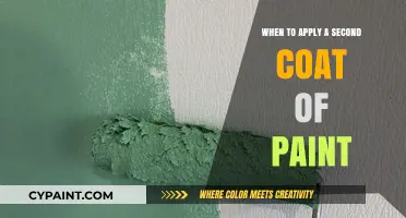 Perfect Timing: When to Apply a Second Coat of Paint