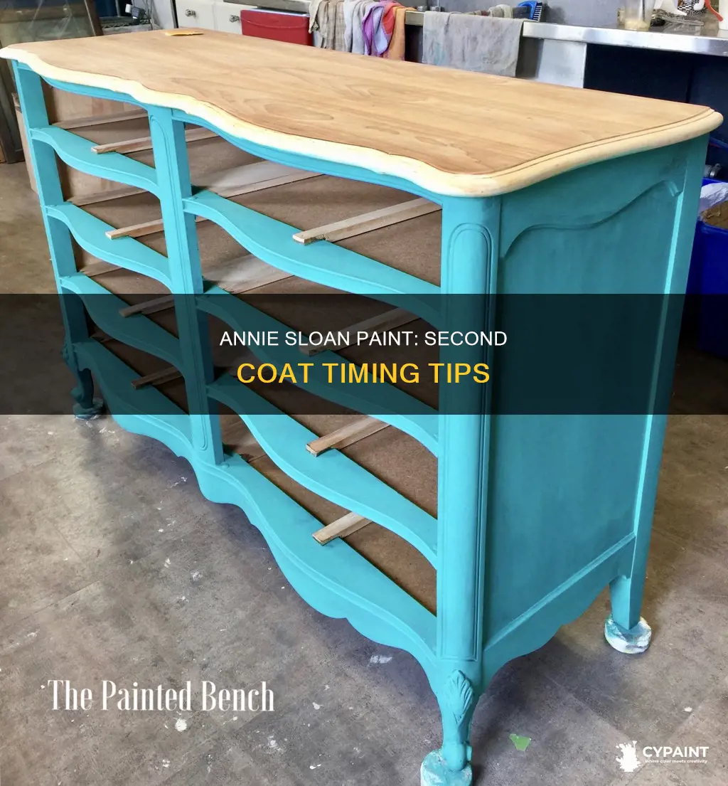 when to apply second coat of annie sloan paint