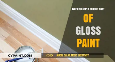 Perfect Gloss Finish: Timing Your Second Coat of Paint