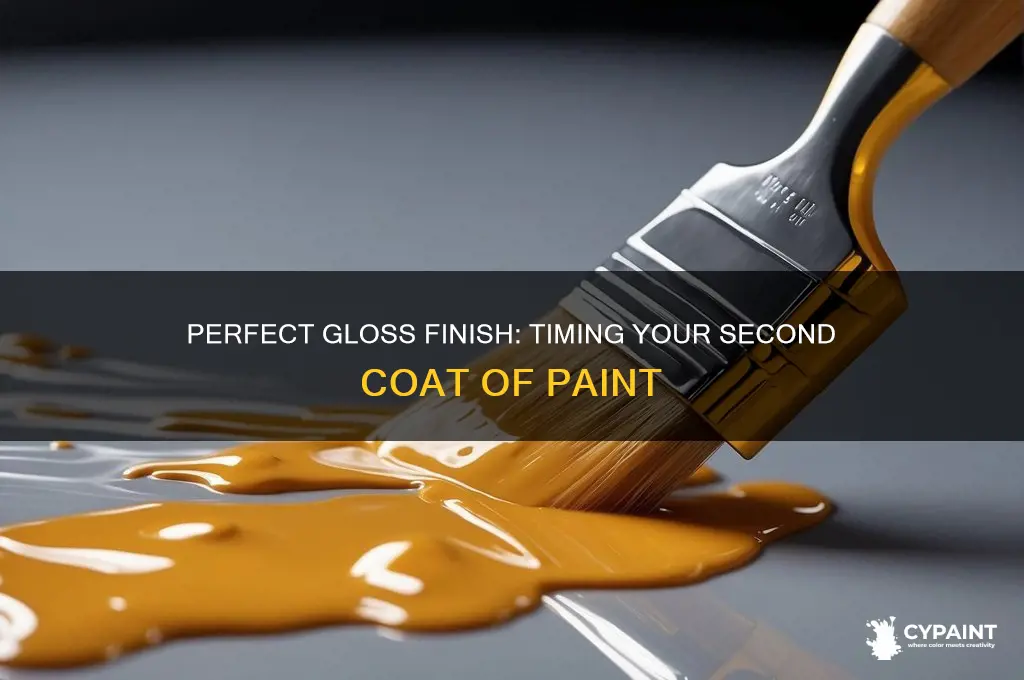 when to apply second coat of gloss paint