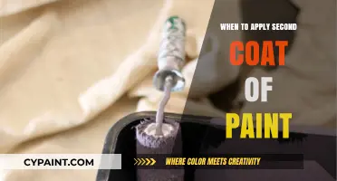 Perfect Timing: When to Apply the Second Coat of Paint