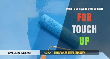 Revamping Your Walls: The Perfect Timing for That Second Coat of Paint