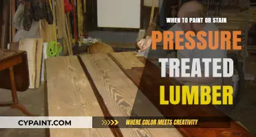 Painting vs. Staining Pressure Treated Lumber: Timing Tips for Durability