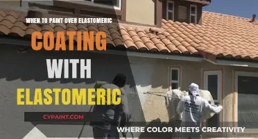When to Paint Over Elastomeric Coating with Elastomeric: A Guide