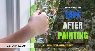 Perfect Timing: When to Safely Remove Tape After Painting Walls
