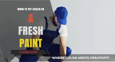 Perfect Timing: Applying Sealer on Fresh Paint for Lasting Results