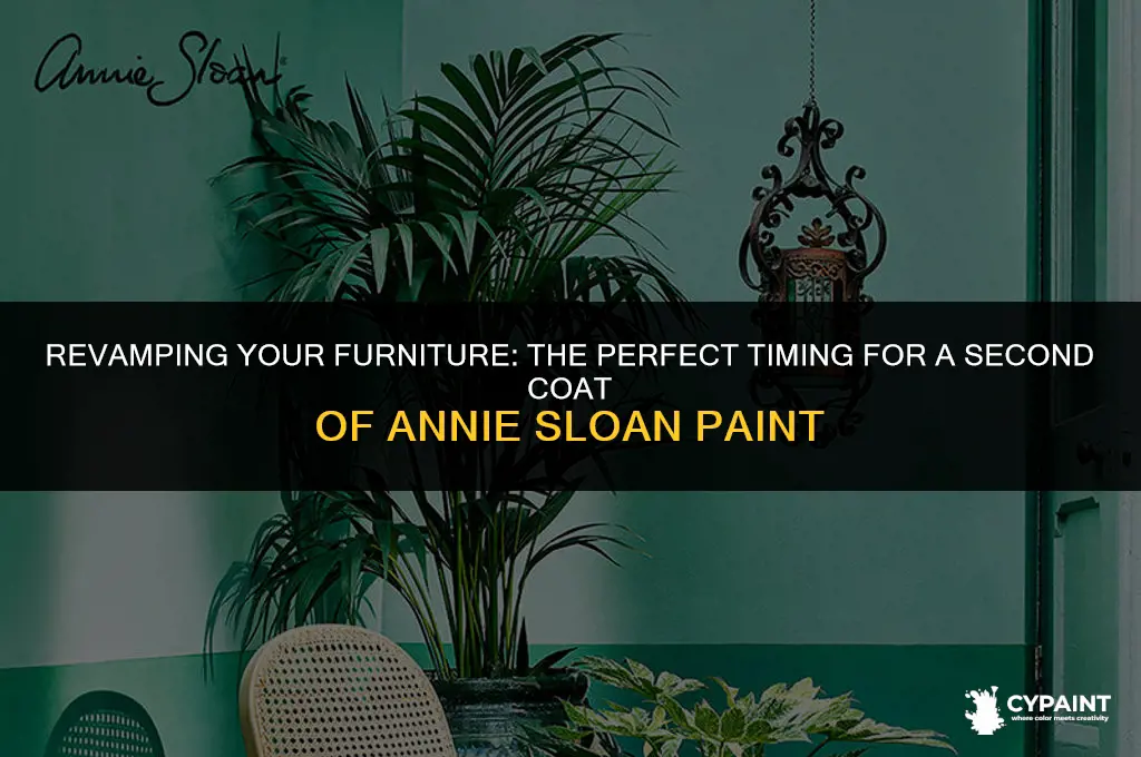 when to reapply a second coat of anne sloan paint