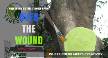 Should You Paint Over Tree Trimming Wounds?