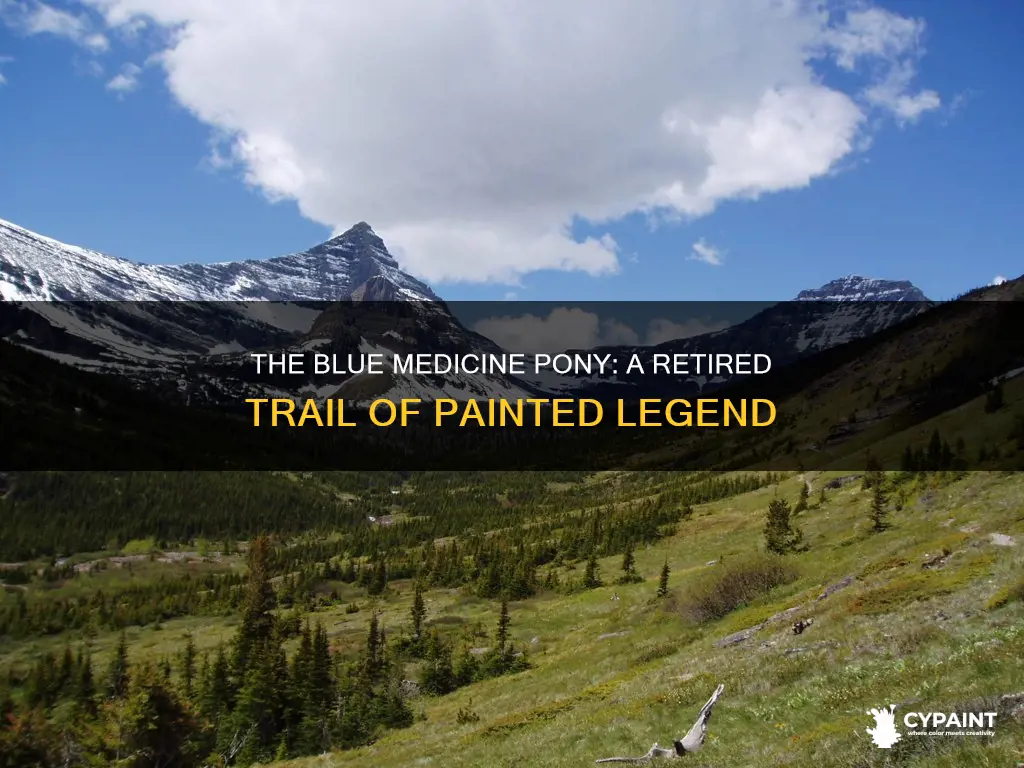 when was blue medicine trail of painted ponies retired