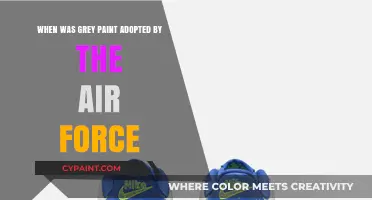 The Air Force's Switch to Grey Paint: When and Why?