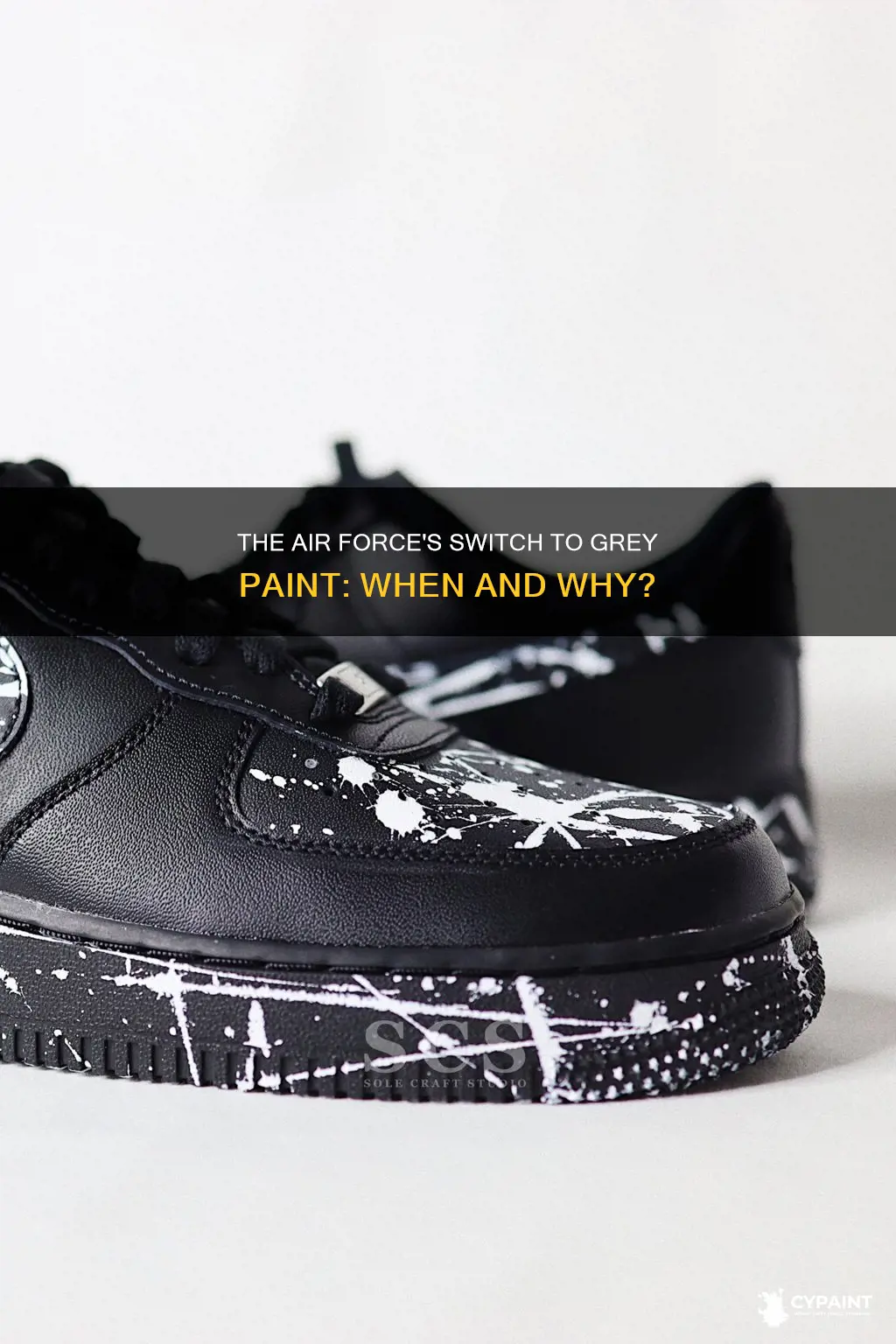 when was grey paint adopted by the air force