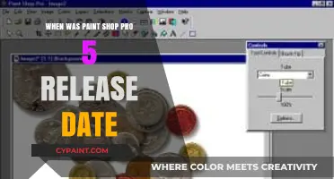 Paint Shop Pro 5 Release Date: A Look Back