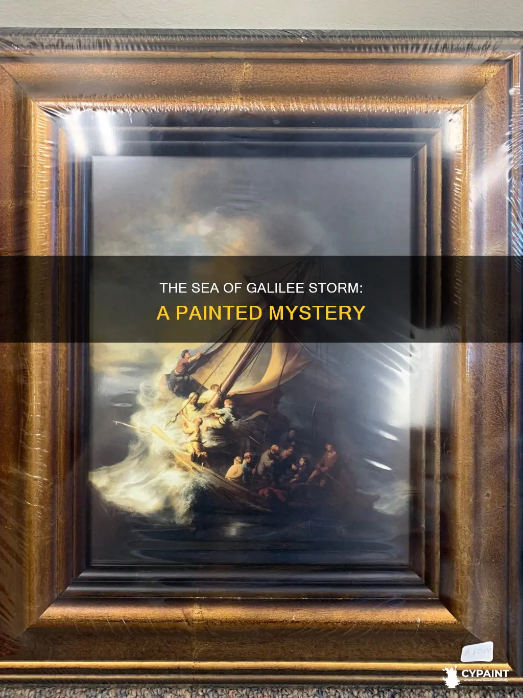 when was storm on the sea of galilee painted