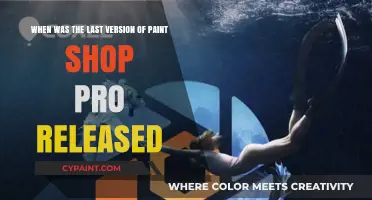Exploring the Latest Release of PaintShop Pro: A Comprehensive Guide