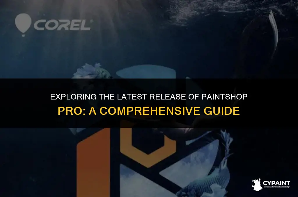 when was the last version of paint shop pro released
