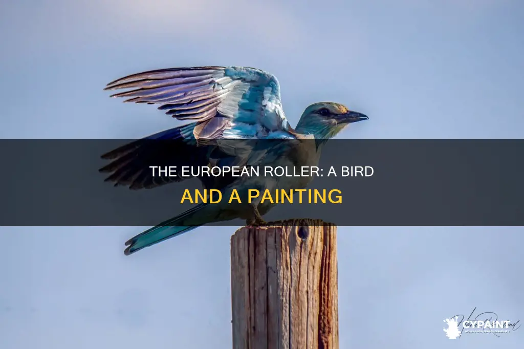 when was the wing of a european roller painted