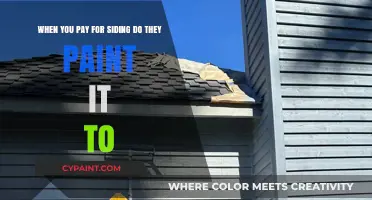 Understanding Siding Services: Painting Included or Extra?