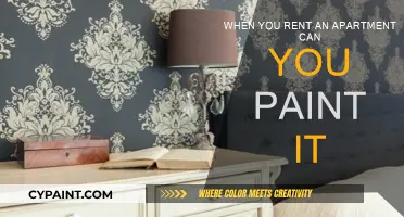 Transforming Rental Spaces: Can You Paint Your Apartment Walls?