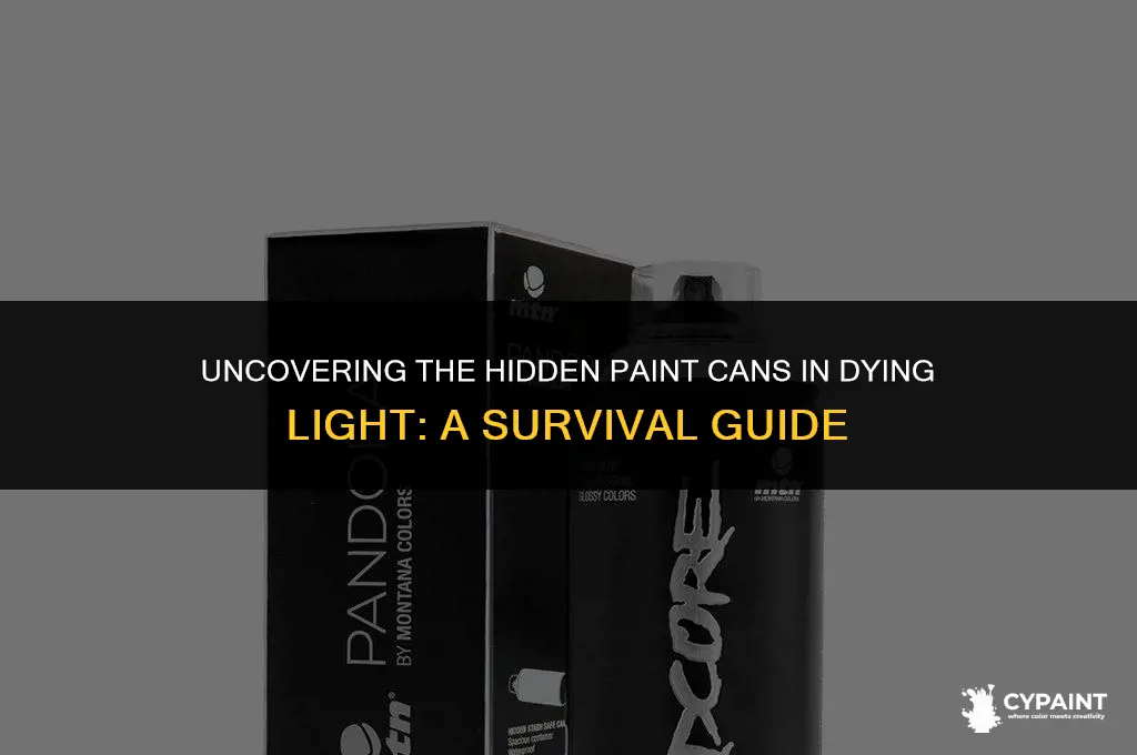 where are all of the paint cans in dying light