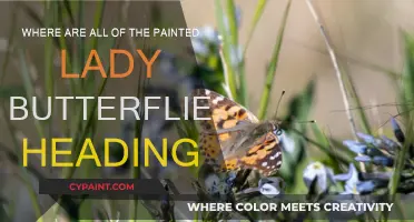 Painted Ladies' Annual Migration: Where Are They Heading?