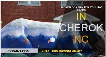 Exploring Cherokee NC: Discovering Colorful Bear Statues