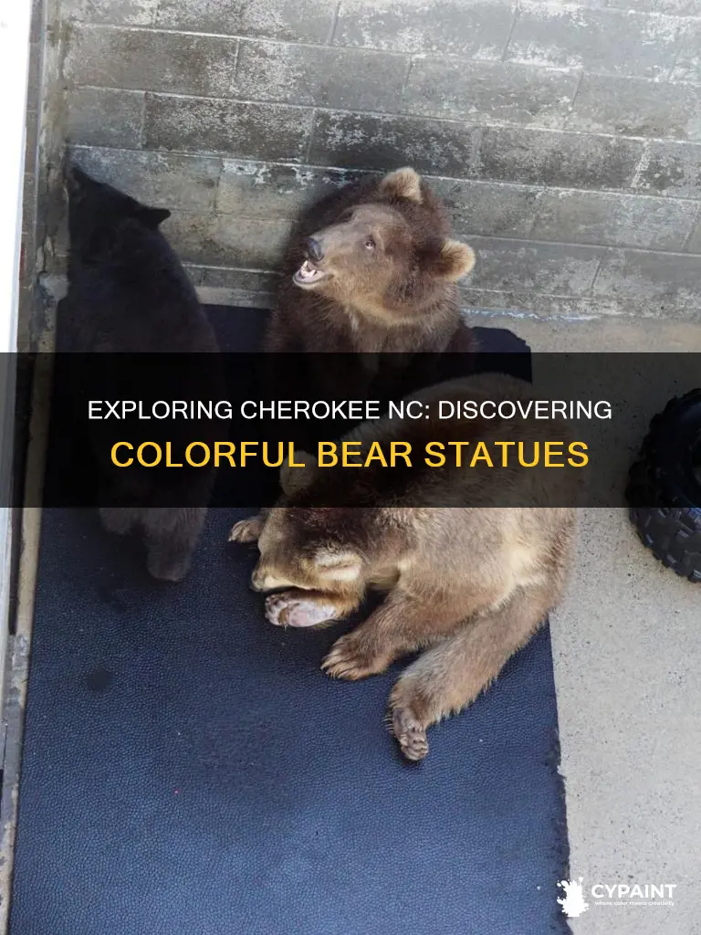 where are all the painted bears in cherokee nc