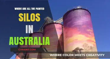 Discover Australia's Hidden Art: A Guide to Painted Silos