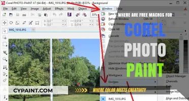 Discover Free Macros for Corel Photo-Paint: Enhance Your Editing Workflow
