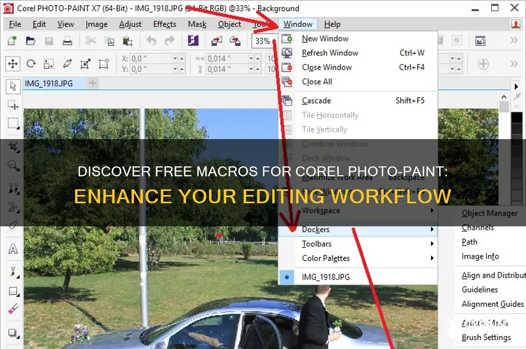 where are free macros for corel photo paint