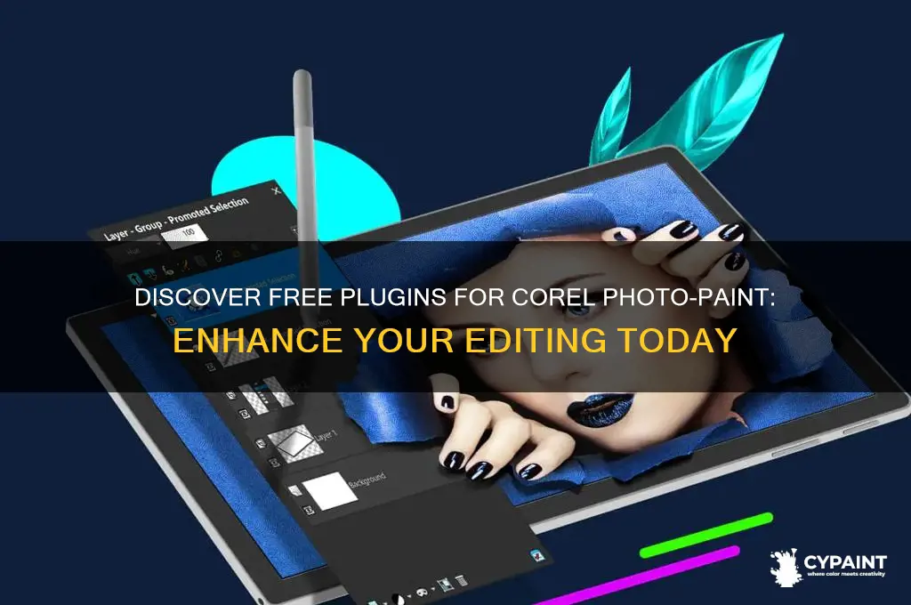 where are free plugins for corel photo paint