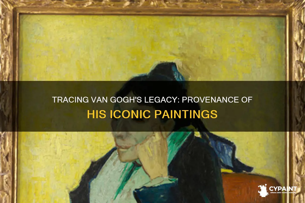 where are most of van gogh paintings provenance