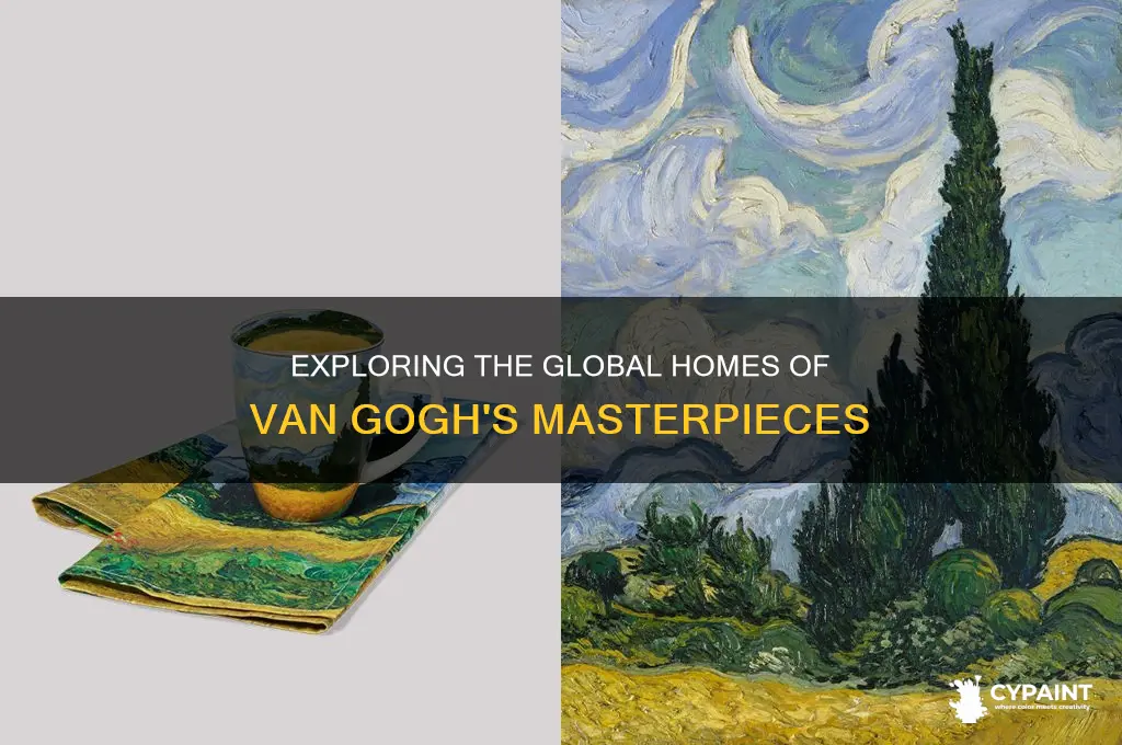 where are most of vincent van gogh paintings