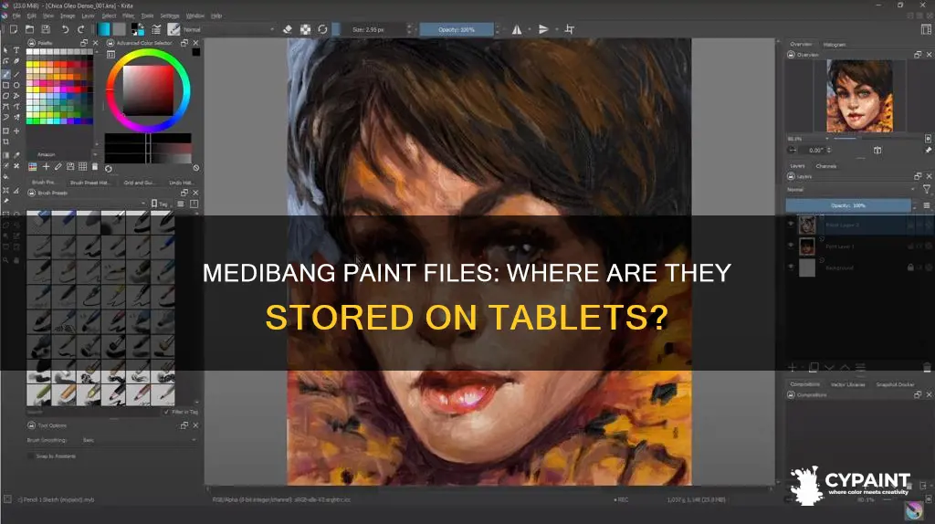 where are my medibang paint files on my tablet