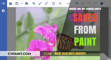 Where Are My Paint Screenshots Saved? A Quick Guide