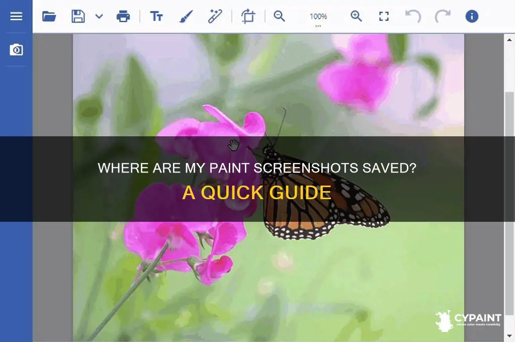 where are my screen shots saved from paint