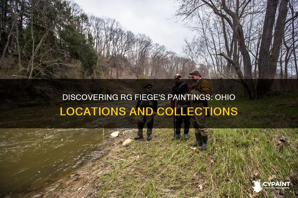where are rg fiege paintings found in ohio