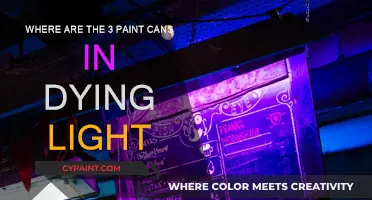Finding the Paint Cans in Dying Light