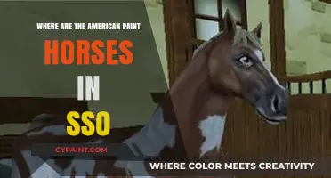 Discovering American Paint Horses in SSO: Locations and Tips