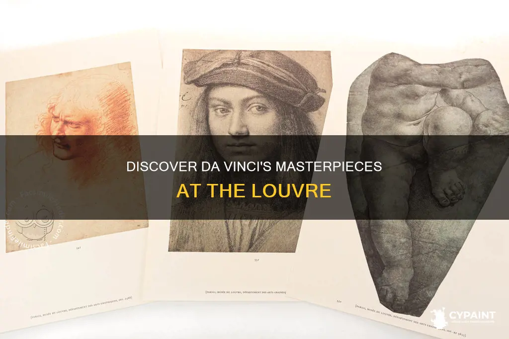 where are the da vinci paintings in the louvre