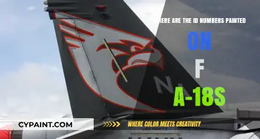 Decoding the Markings: Where Are the ID Numbers Painted on F/A-18s?