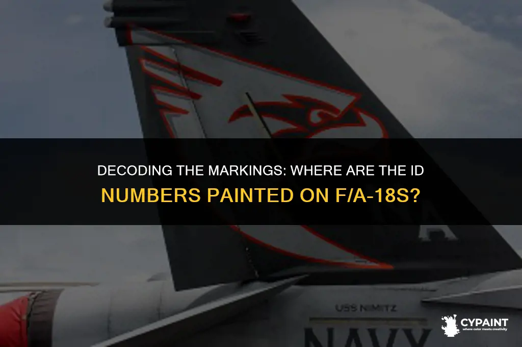where are the id numbers painted on f a-18s